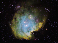 NGC2175 - Affenkopfnebel