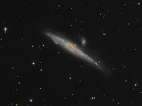 NGC4631 - Walfisch Galaxie