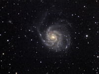 M101 - Spinning Wheel Galaxie